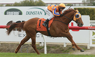 Need I Say More (No Nay Never) remained unbeaten in the Group Three Whangarei Racing Club Northland Breeders’ Stakes (1200m). 